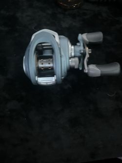 Flueger Baitcaster 
