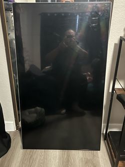 Vizio 48 inch flatscreen tv (READ DESCRIPTION)
