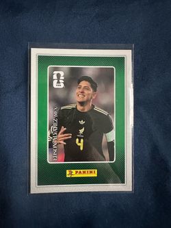 Panini World Cup card