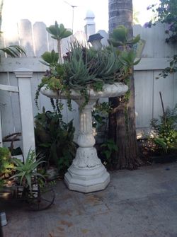 Beautiful fountain full of succulents
