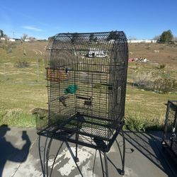 Bird Cage 