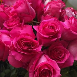 Valentine Day