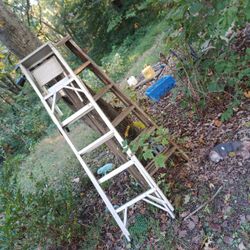 6 Ft Ladder