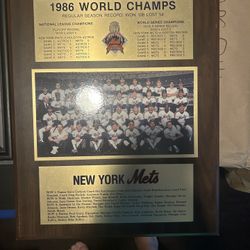 1969 New York Mets Team  World Series Plaque 