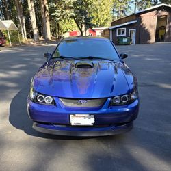 2002 Ford Mustang