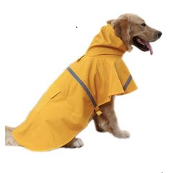 Creation Core Oudoor Pet Puppy