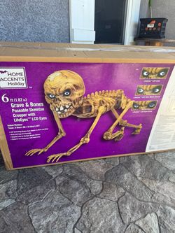 6 ft Halloween Grave & Bones Poseable Skeleton Creeper with LED Eyes