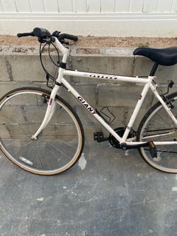 Giant Farrago custom mountain bike