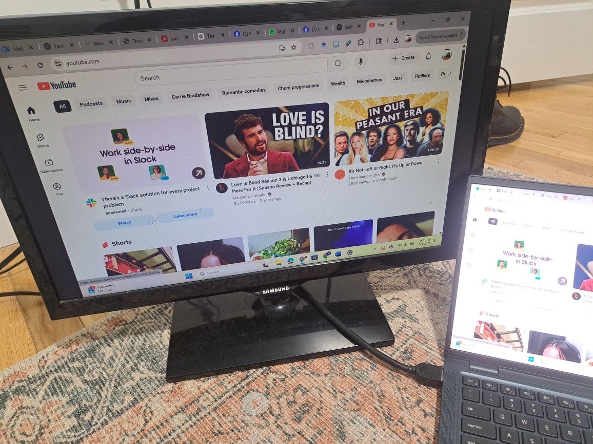 Computer Monitor w/HDMI Cable (22")