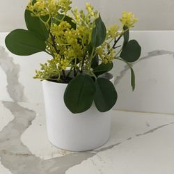 New Household Items For Sale