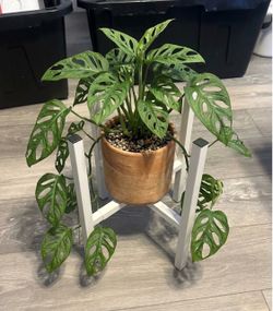 Potted Plant Holder