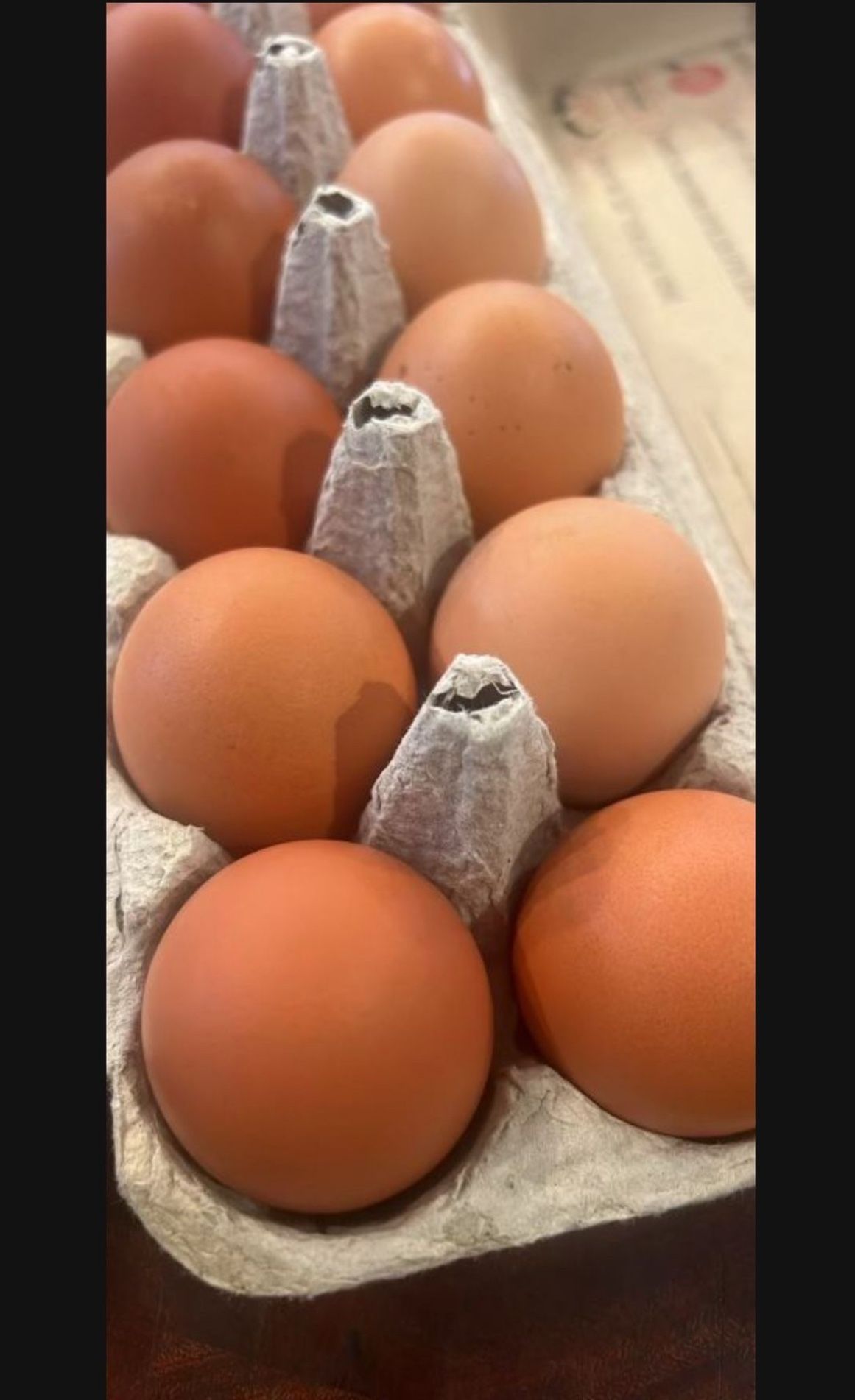 Fresh Pasture Raised Eggs