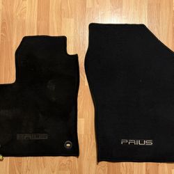 2016 Prius Floor Mats + Cargo Mat