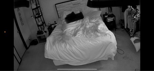 Adjustable queen bed