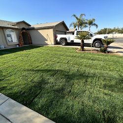 Sprinklers, Sod
