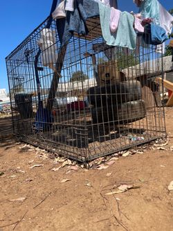 Dog kennel
