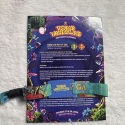 Beyond 2 day GA ticket