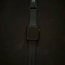 Apple Watch Series 6 (44mm)