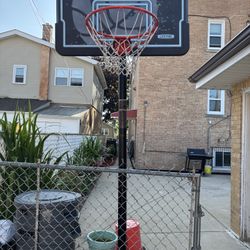 Lifetime Basketball Hoop