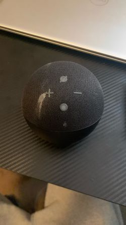 Alexa (throw up a price)