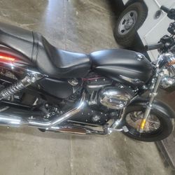 2014 Harley Davidson 1200 custom xl