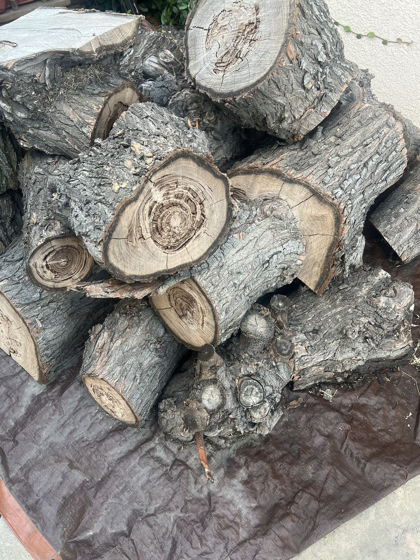 Free Firewood