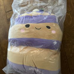 2 Squishmallows New In Bag