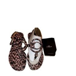 New Coach Sandals Jeri Womens Size 6 Black Snakeskin Leather Print Thong Flip 