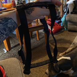 Black Harness