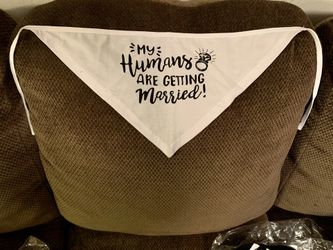 NWT Pet Scarf For Engagement/Wedding