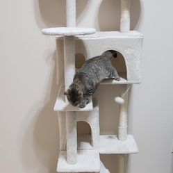   New  Cat Tree Still In Unopened Box 