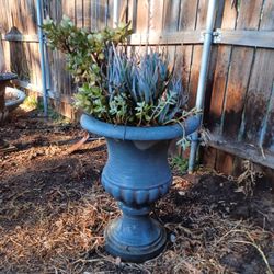 Beautiful Planter With Succulents 