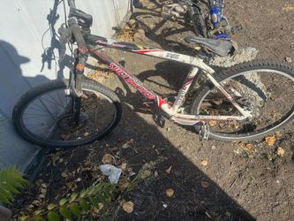 Specialized Rockhopper/Mountain Bike