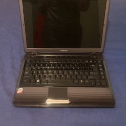Toshiba Laptop