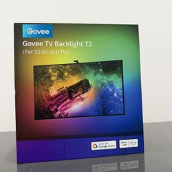 Govee TV Backlight T2