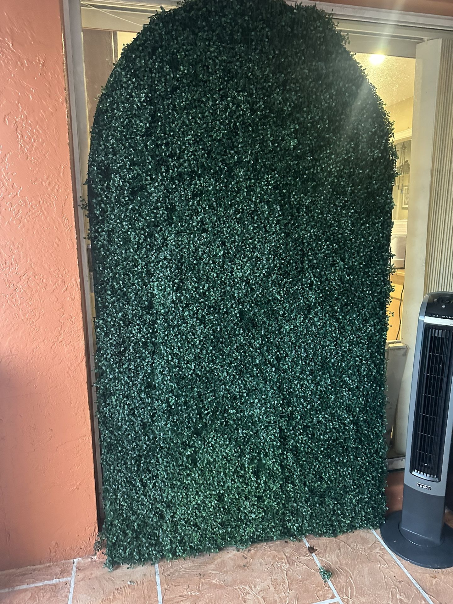 Backdrop Green