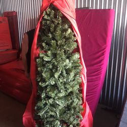 Christmas Tree With Lights