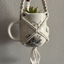 Macrame mug plant