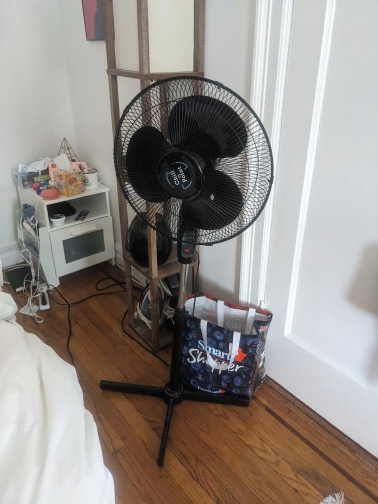 Standing Fan
