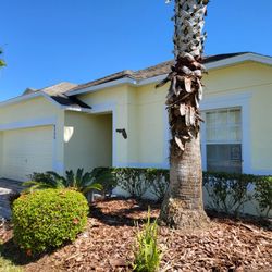 House And Deck Pool Painting