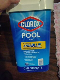 Clorox pool &spa