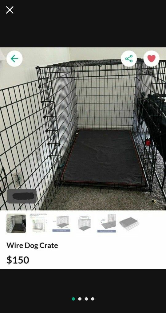 XXXL Dog Kennel