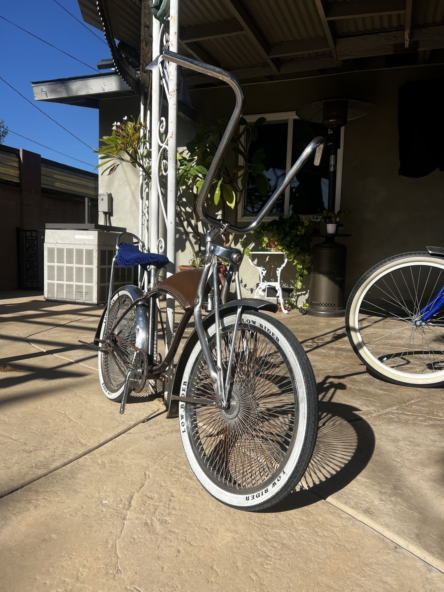 20 inch Schwinn lowrider bike (not free)