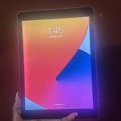 iPad Air 2