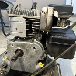 Mower Motor