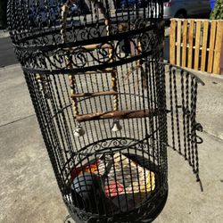 Bird Cage 