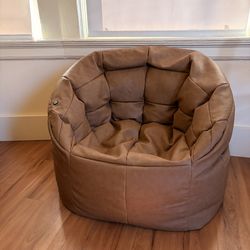 Electric/Vibrating Beanbag Chair