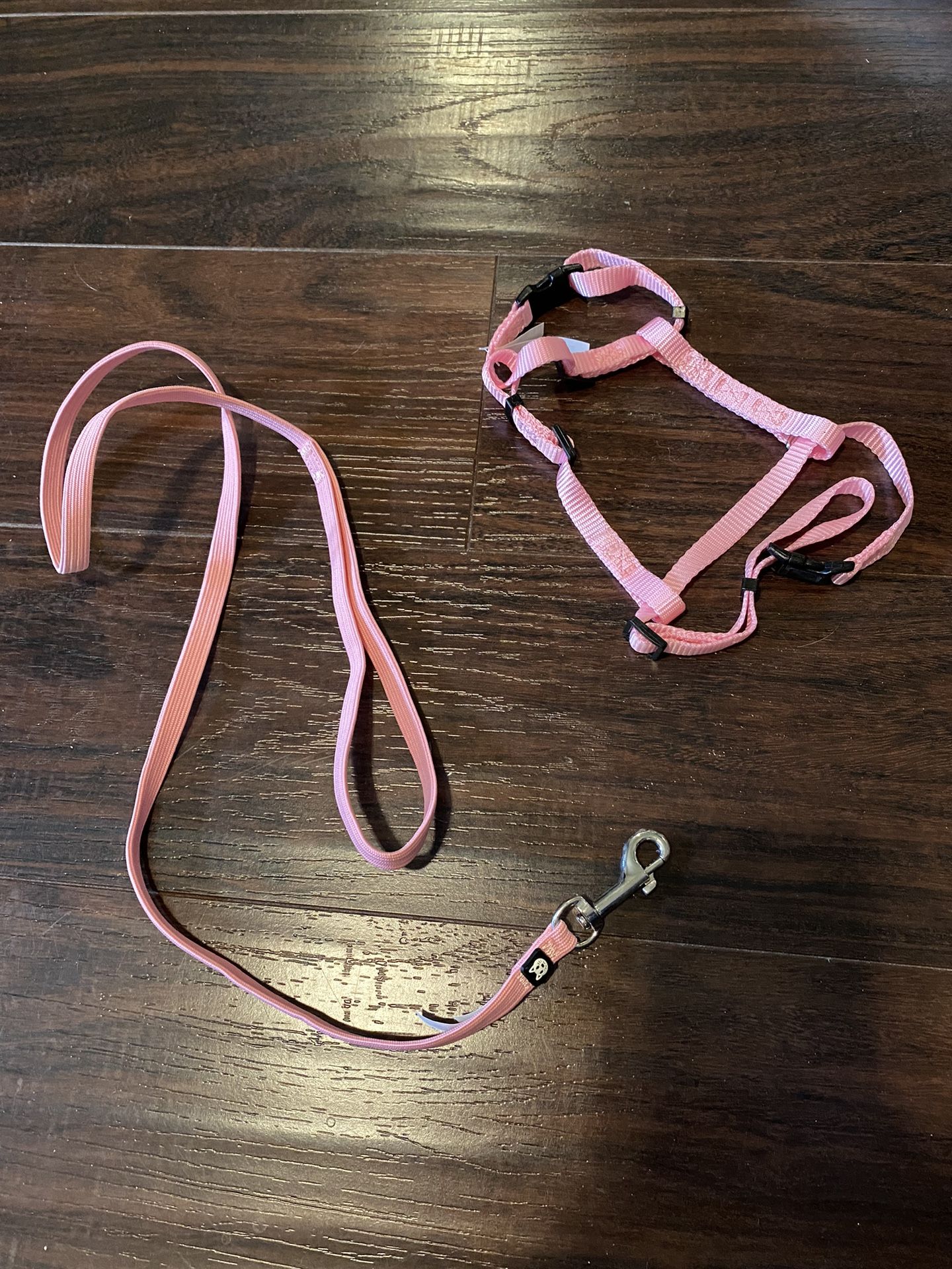 Small Leash and Harness