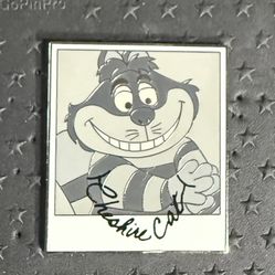 DISNEY CHARACTERS AND CAMERAS MYSTERY CHESHIRE CAT CHASER PIN LE 250