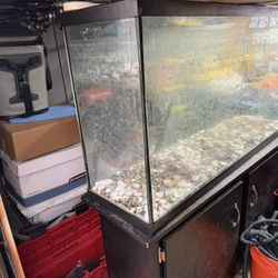 50 Gallon Fish Tank And Stand 
